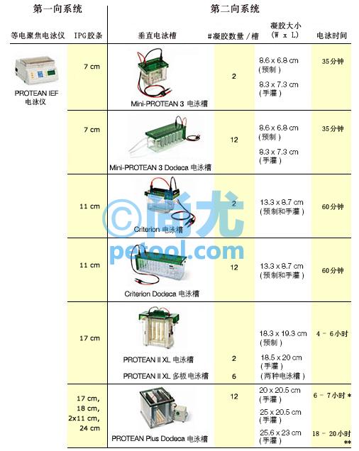 SKU:00248024,ȵ۽/PROTEANIEFSystemƬ