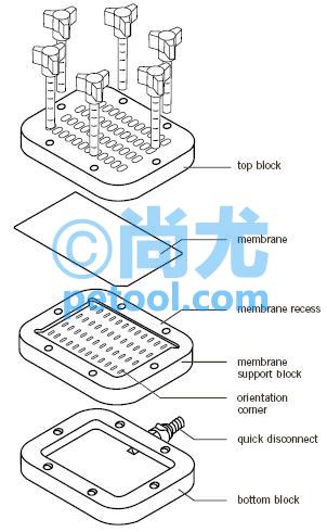 SKU:00140095,648ӡƬ