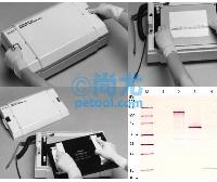 תӡ/Trans-Blot SD System(1-4) Ŵ