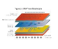 iBlot® Gel Transfer Device/ӢΫݻת Ŵ