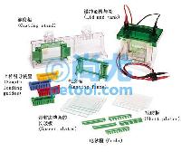 СʹֱӾ(Ŀ齺)Mini-PROTEAN Tetra Cell(0.75/1.0mm