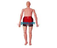 ˮϾģWater Rescue Training Manikin