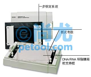 תӡ/Trans-Blot SD System(1-4)